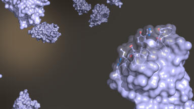 Efficient separation and analysis of antibody fragments and their drug conjugates