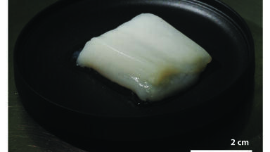 Chunks of lab-grown ‘chicken’ have a ‘whole meat’ texture