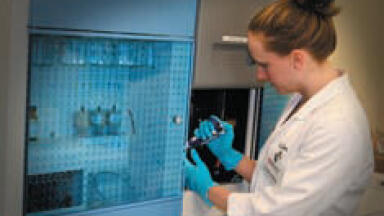 New System Expands Comprehensive Services Repertoire