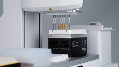 Automation-ready tools for PCR purification workflows