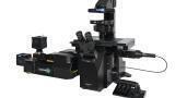 New spinning disk confocal microscopes for live-cell imaging