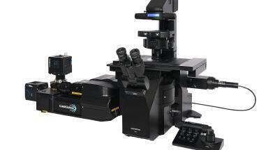 New spinning disk confocal microscopes for live-cell imaging