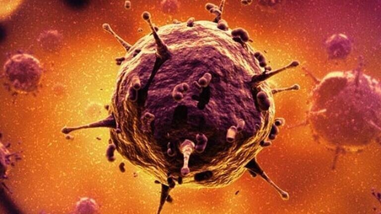 Transduction-ready viral particles. Credit: AMSBIO