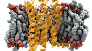 The 7,000-year-old+ genetic mutation that protects against HIV