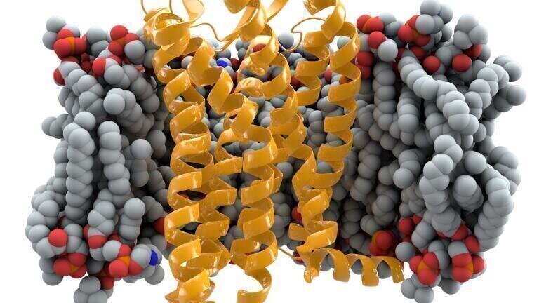 The 7,000-year-old+ genetic mutation that protects against HIV