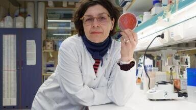 Newly identified bacterium found to have a broad spectrum of antibiotic resistance