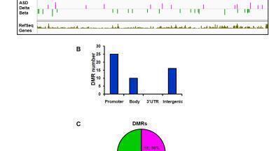 Gene hunt using DNA methylation suggest RABGGTB as autism biomarker candidate