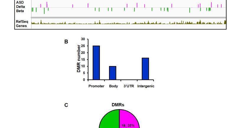 Gene hunt using DNA methylation suggest RABGGTB as autism biomarker candidate