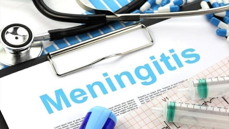Enzyme therapy restores antibiotic effectiveness against drug-resistant meningitis