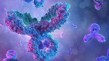 Validated antibodies support stem cell purity and consistency