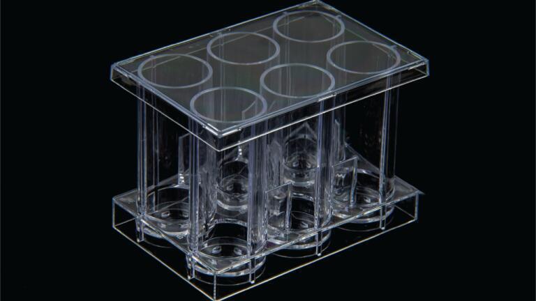Scalable 6-well cell culture and filtration system for small molecule development