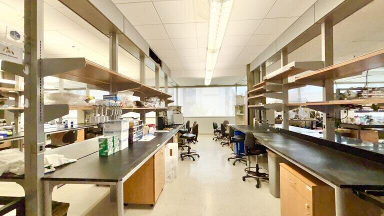 Spatial omics innovation expands to UCLA. Credit: Meteor Biotech