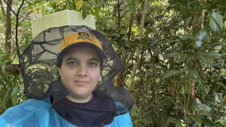 Honey from native Australian bees shows promise in addressing AMR
