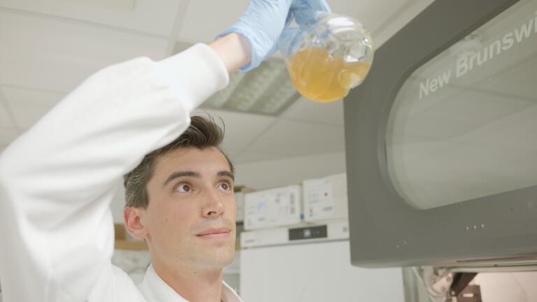 A PhD student checks the growth of a culture of E. coli in the Wallace Lab.. Credit: University of Edinburgh