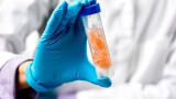 Trust in every byte: how Clinisys LIMS is reinventing food safety for the digital era
