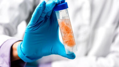 Trust in every byte: how Clinisys LIMS is reinventing food safety for the digital era