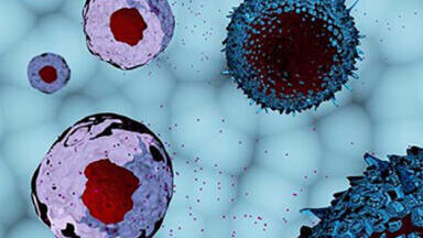 High-purity exosome standards improve EV research reproducibility