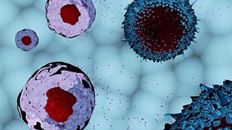 High-purity exosome standards improve EV research reproducibility