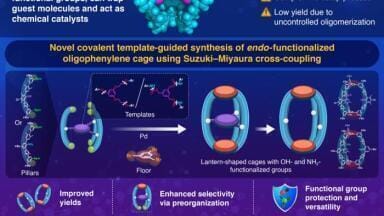 Template-guided synthesis enhances yield, functionality in oligophenylene molecular cages