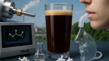 SinS 2025: PTR-MS evolves to tackle complex real-time analysis across air, food, environment