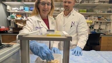 Asthma drug Zileuton blocks pathway of anaphylaxis in mice with peanut allergy