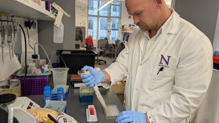 Credit: Northwestern University