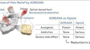 Discovery of novel alternative to opioids offers hope for pain relief without risk