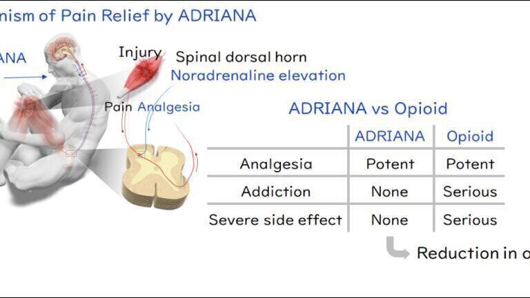 Discovery of novel alternative to opioids offers hope for pain relief without risk