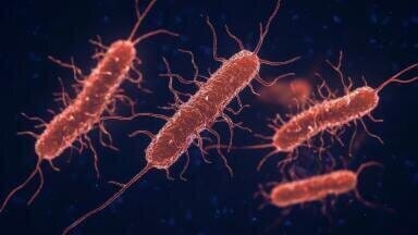 E. coli evolves antibiotic resistance during treatment, study finds