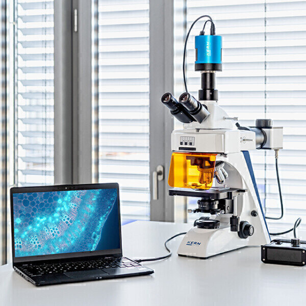 New fluorescence microscope with LED technology Labmate Online