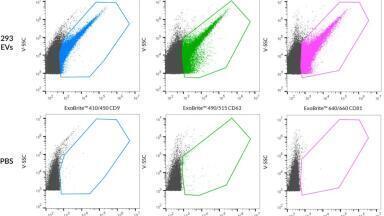 Antibody cocktails simplify EV staining and phenotyping