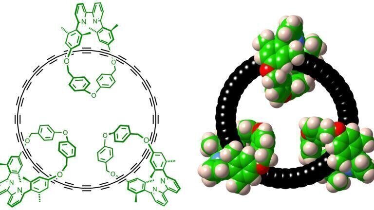 Left: Chemical structure of the cyclo[48]carbon [4]catenane. Right: Space-filling representation. Credit: Harry Anderson.