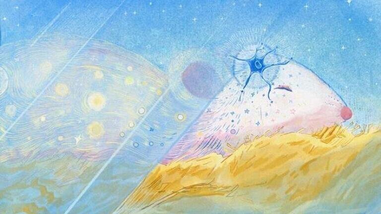 Hypothalamus neurons support regulation of night time glucose levels. Credit: Angel Ren