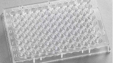Porvair Sciences expands assay plate range with new SignumTM High and Medium Binding microplates for reproducible and sensitive ELISAs