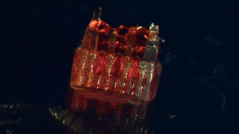 New research combines 3D printing, stem cell biology, and lab-grown tissues for possible treatments of spinal cord injuries. Credit: McAlpine Research Group, University of Minnesota
