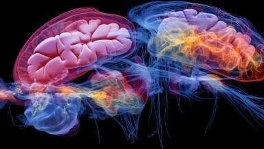 Austria and Germany lead EU with Alzheimer’s drug rollout
