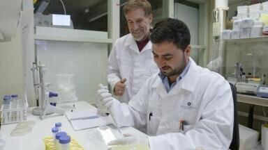 Researchers reveal how immune cells use zinc to fight infections, reshape understanding of nutritional immunity