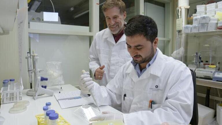 Researchers reveal how immune cells use zinc to fight infections, reshape understanding of nutritional immunity