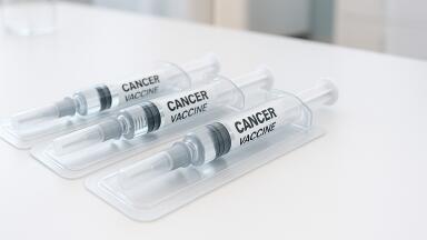 Glycoconjugate cancer vaccine shows greater level of action against animal tumours