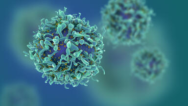Sterile CAR-T cell lines for faster leukaemia research
