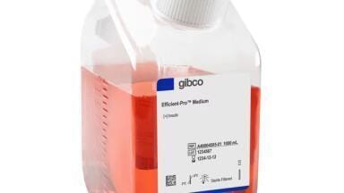 Next-generation medium optimises CHO cell productivity