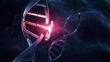 FDA clears new companion diagnostic for KMT2A acute leukaemia