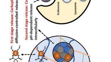 Time-released gel delivers a targeted strike against aggressive brain tumours