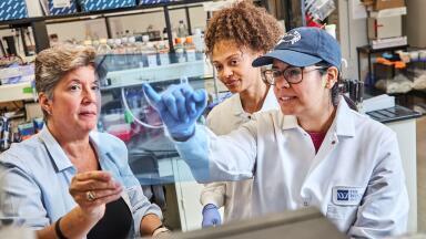 p53 protein rewrites cancer rules: Signalling guides immune response