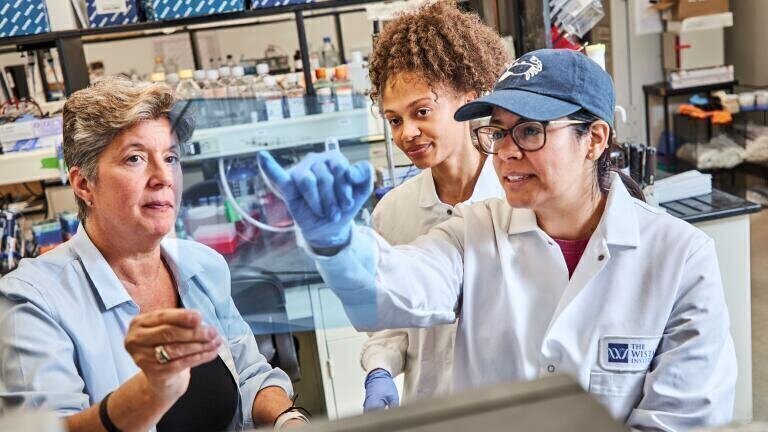 p53 protein rewrites cancer rules: Signalling guides immune response