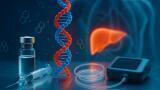 Hybrid insulin–glucagon protein shows promise as a smart therapy for Type 1 diabetes