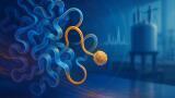 Tokyo team unveils novel NMR method to reveal enzyme movements in unprecedented detail