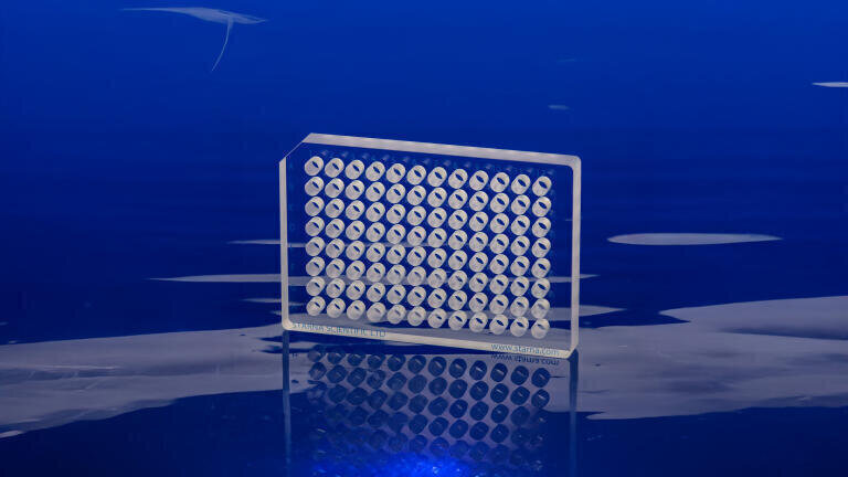 Solve bioassay challenges: Fluorescence-free, UV-transparent, solvent-resistant quartz plates