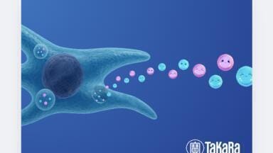 Defined medium for scalable production of stem cell-derived vesicles