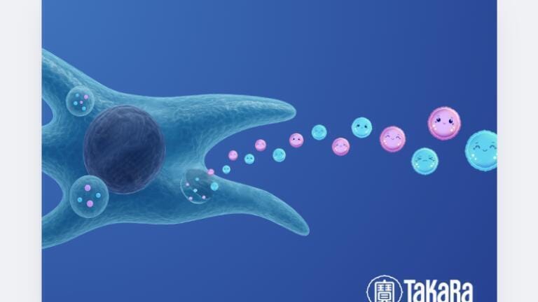 Defined medium for scalable production of stem cell-derived vesicles